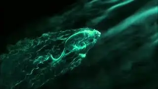 ٤ يوليو ٢٠٢١