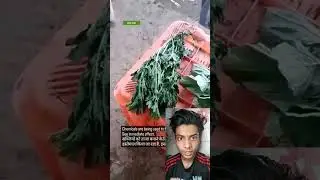 Chamical se Hari sabji ko taja kia || #Shorts