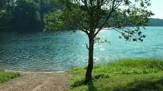 Asvejos ežeras