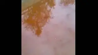 В реку Яуза в Москве сливают химические отходы