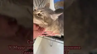 МРТ покажет можно ли делать операцию