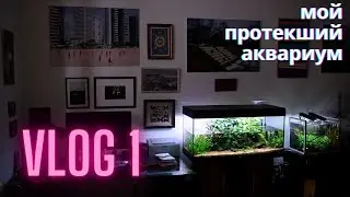 VLOG_1 / Мой протекший аквариум / палюдариум из Juwel Rio 180