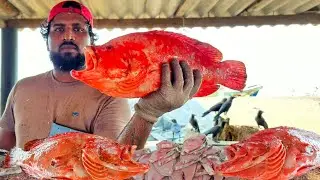 Red Snapper Fish Cutting | Big Tuna Fish Cutting | Yellowfin Trevally Fish Cutting |Long Gar Cutting