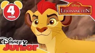 Lejonvakten | Det uttorkade vattenhålet 🦓- Disney Junior Sverige