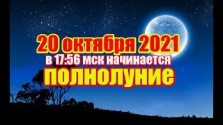 20 октября 2021 года в 