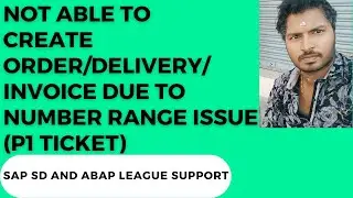 SAP SD SUPPORT Project Realtime Tickets/P1 ticket-Number range issue (Not able to create order)