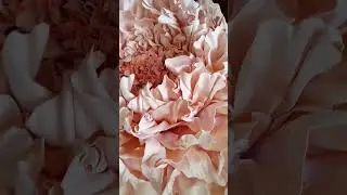 😍Пионы с Подсветкой #art #decor #decoration #flowers #flores #bigflower #цветы #ростовыецветы #пионы