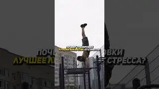 Почему тренировки лучшее лекарство от стресса?
