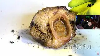 Elraenn yiyeceklerin canlı çürüme anları !