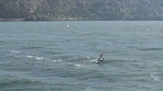 Downwind foil heaven - Hood River downwind foiling on the Apple Skipper Downwind foil board