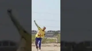nice shot 
