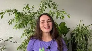 7: Temperature & Humidity | Houseplant Guide for Beginners | PLANT CRASH COURSE