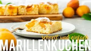 Der schnellste Marillenkuchen vom Blech - kein Mixen, super schnell gemacht, unfassbar lecker!