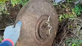 ХОРОШИЙ ВЫЕЗД ПО МЕТАЛОКОПУ ГЛУБОКОЙ ОСЕНЬЮ.