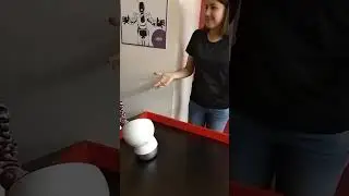 19 мая 2023 ИНТЕРАКТИВНАЯ ВЫСТАВКА/РОБОТЫ/
