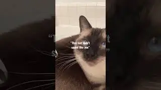 That text didn’t sound like you