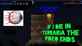 If I Die In Terraria The Video Ends