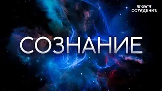 Сознание 