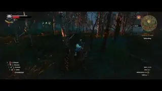 Witcher 3 Ultra Graphics - GTX 2070 - no commentary - Enjoy!
