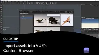 Import assets into VUE's Content Browser