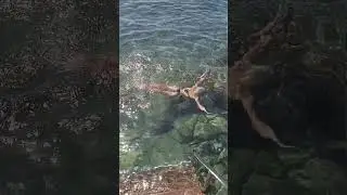 Признавалась любви лету.