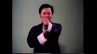the science of fighting wing chun