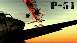 WEAPON HISTORY - P-51 Mustang