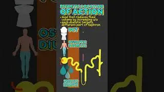 Diuretic Location of Action Facts!