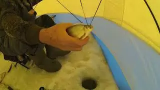 Отводной поводок или чертик?