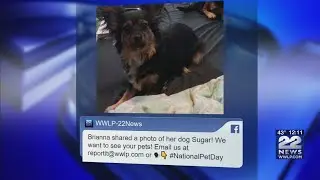 PHOTOS: Celebrating National Pet Day!