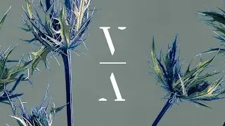 Grigoré - Heart Pure