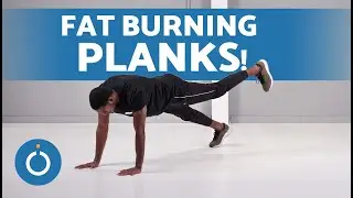 PLANK WORKOUT for Belly Fat 🍫 5 Minute Ab PLANKS