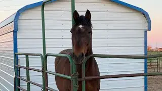 Jasper out of Quarantine!
