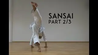 SANSAI part 2/3 - genseiryu kata explanation - TEAM KI