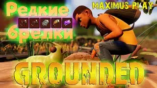 Редкие брелки в Grounded. Новое обновление 1.2