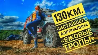 ЕжОвые ТрОпы Off-Road ориентирование