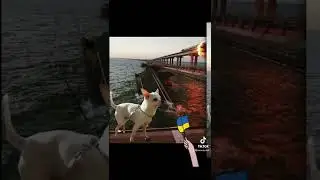 💙💛💪