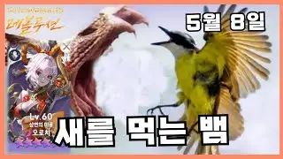 겔리두스 대항마 05 08 3:3 오로치 세븐나이츠 레볼루션 [시즌14]