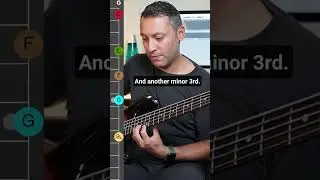 How to EASILY Memorise a scale [Minor Pentatonic] 🎸