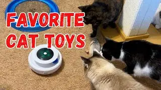 Keep Your Cats Happy with the Best Cat Toys #happycats #catlovers #cats