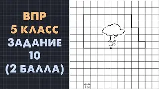 Задание 10 - ВПР-2024 ПО МАТЕМАТИКЕ 5 КЛАСС