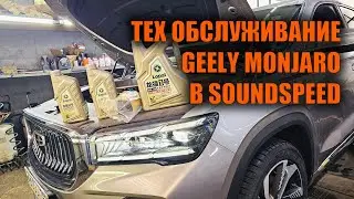 Geely Monjaro's First Maintenance - SoundSpeed ​​Auto Service Center