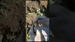находка ))))