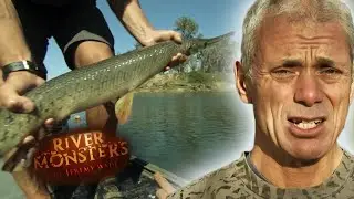 Tracking the Prehistoric Alligator Gar: The Tagging Process in Texas Waters! | River Monsters