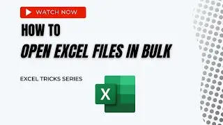 Open Excel Files in Bulk