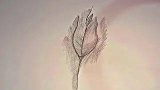 how to draw a rose petal/Female figure drawing process
