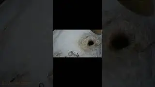 Рыбалка на щуку #shorts #щука #рыбалка на амуре