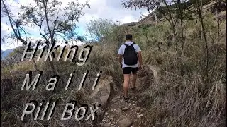 Hike Up Maili Pill Box & visiting New DonQuiote Store