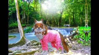 обработка для zYKRAIHAuwu  [ моей подруги в Wildcraft]