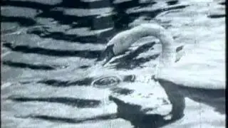 Ecstasy of Saint Theresa - Surfing on Steam
